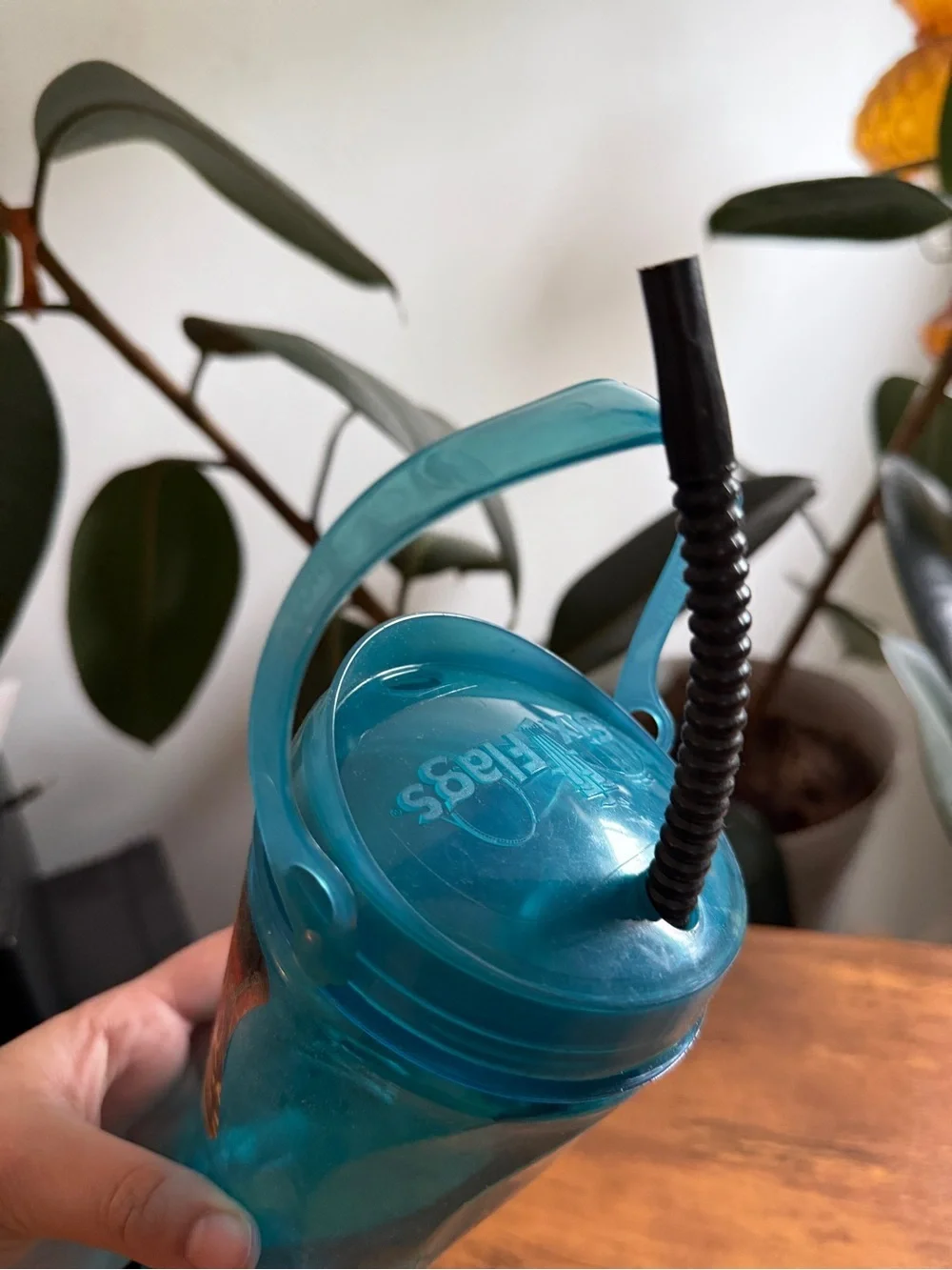 2020 Teal Plastic Souvenir Cup with Straw Six Flags Coca Cola